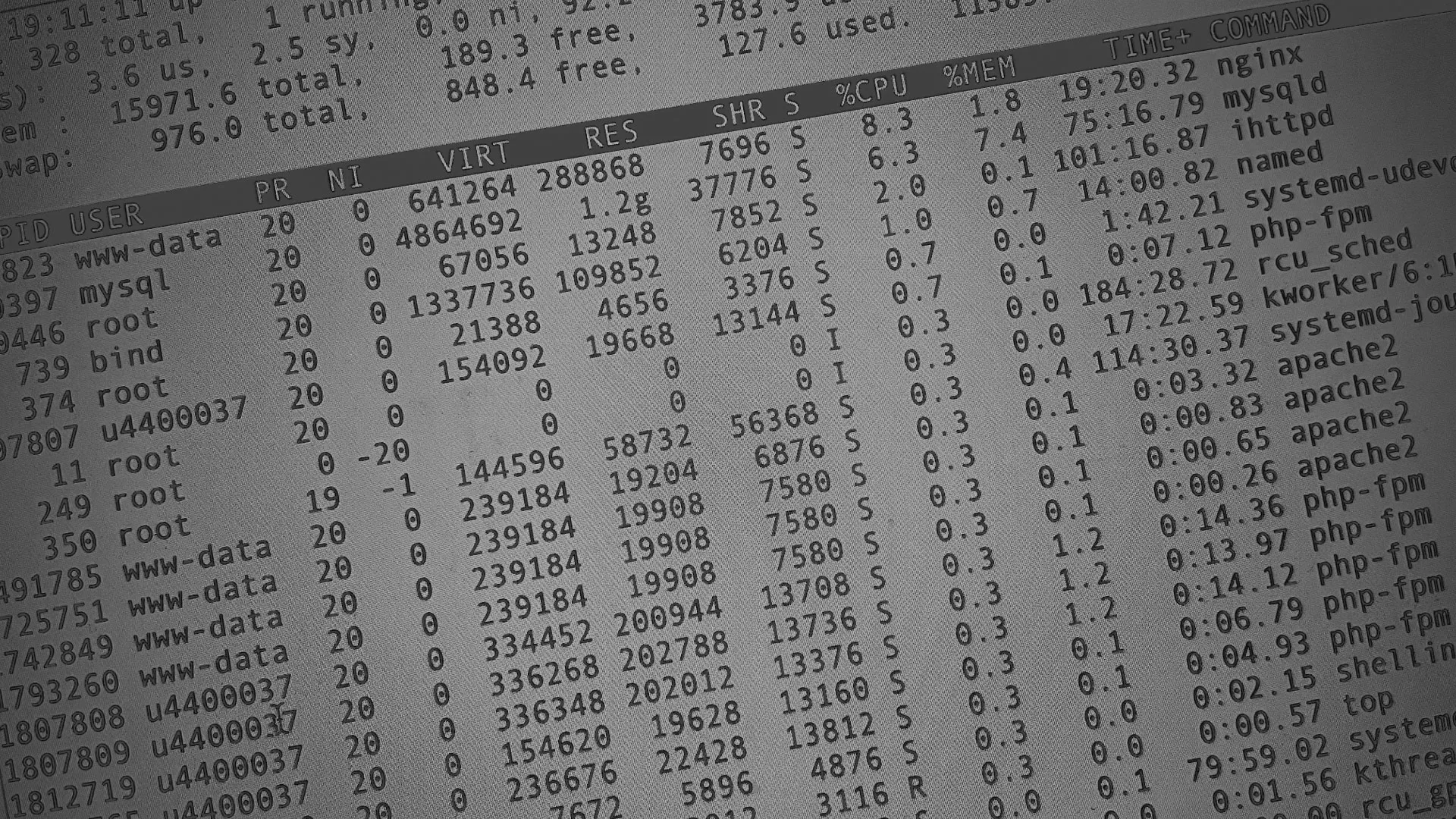 Настройка сервера в Краснознаменске